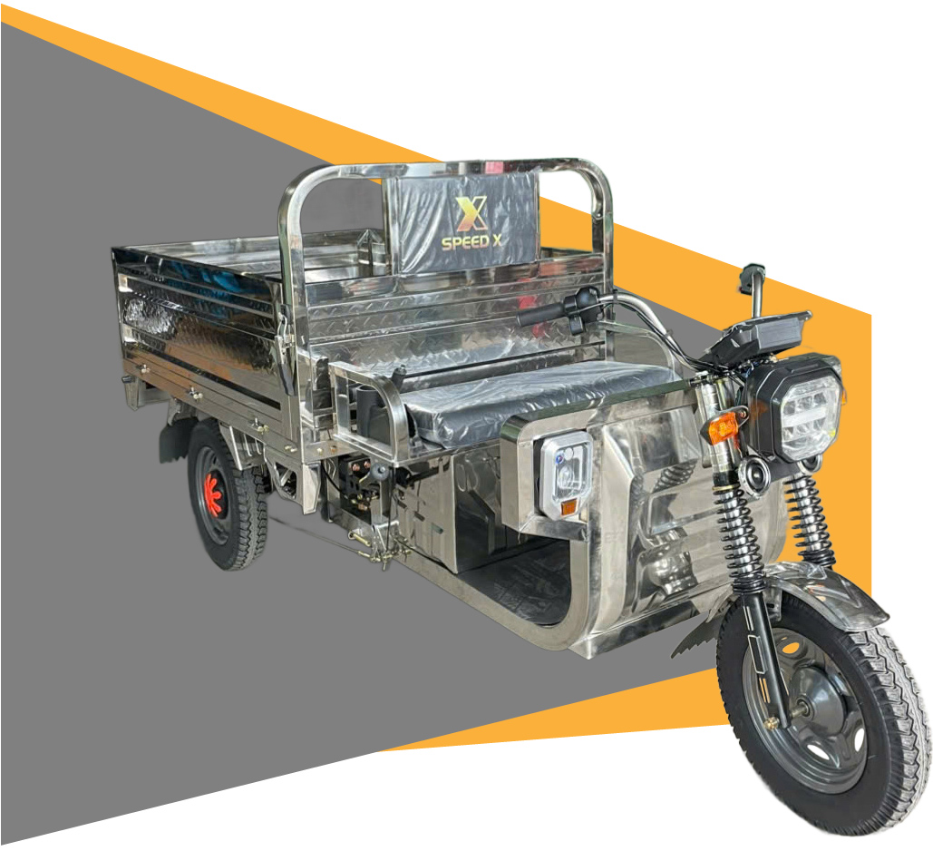 Electric Tricycle